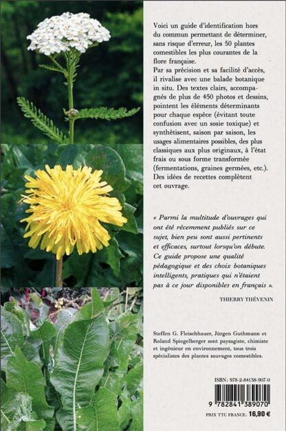 Plantes sauvages comestibles