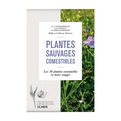 Plantes sauvages comestibles